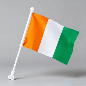 14x21CM Custom Mini National Flags All Countries Handheld Banner for World Cup Events Parade Party Supporter Decoration