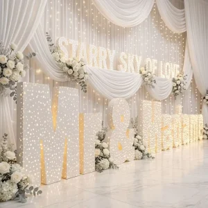 3D Custom 304 Stainless Steel LED Letters Starry Light Channel Letters for Car Park Advertising Direction Waterproof IP65