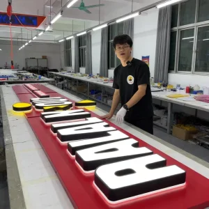 3D Illuminated LED Channel Letter Sign Custom Logo Business Signage Electronic Advertising Display Indoor Outdoor Use