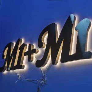 3D LED Illuminated Stainless Steel Logo Sign Black Metal Backlit Letter Channel Letter Signage with Transformer Power Supply