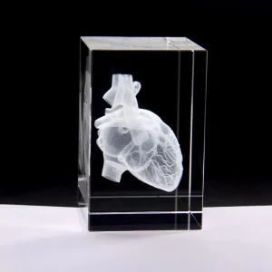 3D Laser Engraving Heart Organ Crystal Cube Medical Science Souvenir Gifts