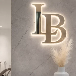 3D Logo Signage Metal Custom LED Sign LED Illuminated Wall Logo Signage Beauty SPA Salon Studio LED Letter Sign