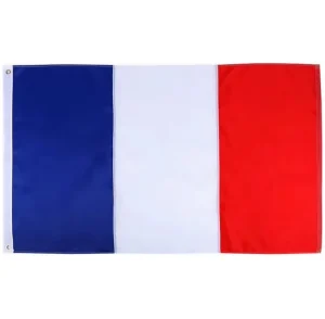 48h Fast Delivery 3X5 Customized Logo Printing Flags Promotional Advertising Flag Banner Custom France Flag