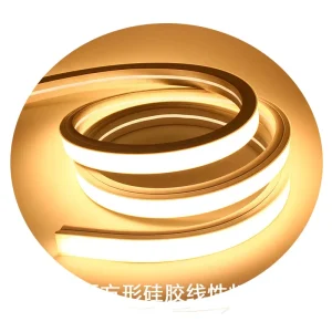 5025 Silicone Flex Waterproof 5m 5v 12v 24v Customised Neon Lights 4025 Addressable Neon Strip Light Neon Sign 3020