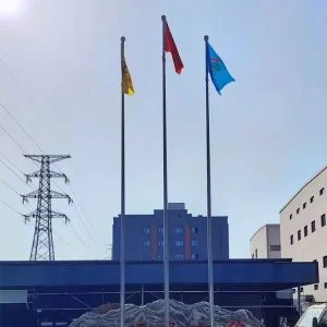 6 100M Customized Flag Pole Stainless Steel Flag Pole Aluminium Flag Pole Flagpole for Sale