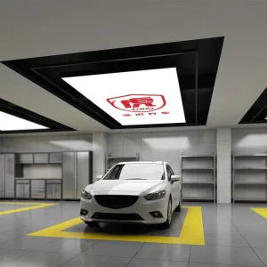 6000K Garage Working Film Light Solf Film Led Light Customized Ceiling Led Light Factory in China