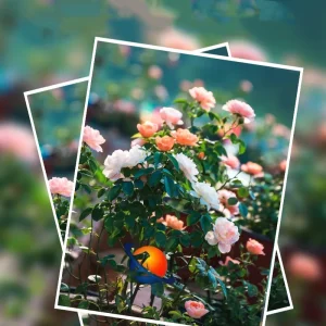 A3/A4/A3+ 350g Double Sided Glossy Inkjet Photo Paper Art Coated Bond Paper for High Quality Photo Printing