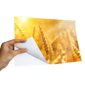 A4 Self Adhesive Photo Paper Gloss Sticker Self Adhesive for Inkjet Photo Printing 120g Custom Available