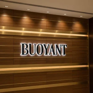 Acrylic 3D Letter Sign Indoor 3D Acrylic LED Lettering Sign Indoor Commercial Logo Illuminated Letter