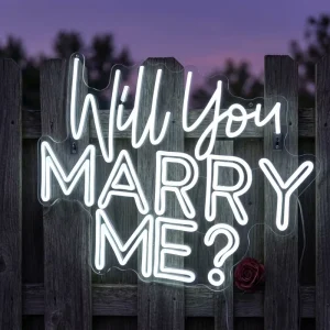 Acrylic Crystal Clear Romantic Proposal Decor for Garden Engagement Party Model