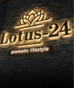 Acrylic Stainless Steel Channel Letters Sign Salon Business Name Illuminated LED Backlit Custom Color 3D Logo Wall Mounted Water