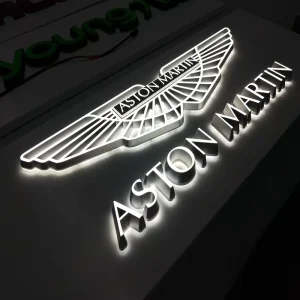 Advertising Illuminated Outdoor Light LED Letter Business Store Sign 3D Acrylic Light up Custom Logo Letter Sign