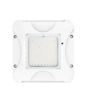 Aluminum High Brightness 100-400W LED Canopy Light Indoor Outdoor IP65 High Bay Ceiling Fixture for Warehouse Gas Station Garage