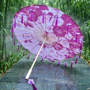 Antique Chinese Hanfu Tassel Umbrella Performance Silk Petal Propel Dance Umbrella Craft Manual Control Classic for Party Use