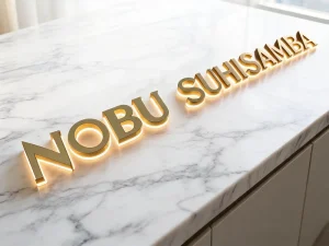 Brushed Mirror Champagne Gold Backlit Combo Letters Custom Plated Stainless Steel Dual Finish Logo Sign Water Resistant
