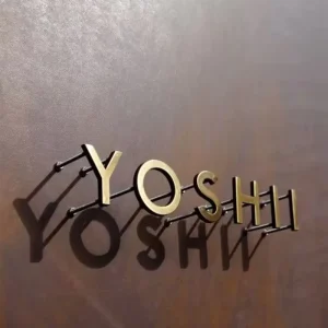 CNC Cut Precision Metal Letters Complex Font and Shape Letters for Architectural and Design Projects