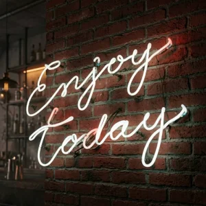 Casoon Advertising Company Custom Made Modern White Led Neon Light Party Theme Enjoy Today Plastic Tube Neon Letter Sign