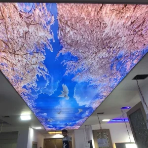 Ceiling Film for Pool B Grade Ceilings Pop Design Moulds Price Roll Soft Pvc Color Film
