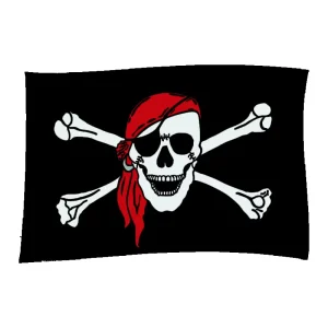 China Factory Digital Printing Promotion 3*5Ft 90*150cm Flag Custom Pirate Flags Banners