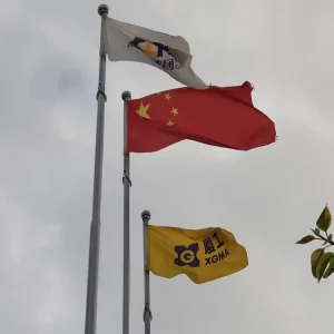 Chinese Import Off Road 8 Ft Flagpole 25 Feet Mount Pole with Tangle Brush Durable Metal for Outdoor Flags