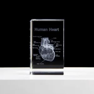 Clear Crystal Cube 3D Laser Engraved Model of Human Heart Medical Heart Anatomical Teaching Model