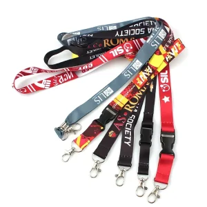 Clear Plastic Vertical Name Tags Badge ID Card Holders and Black Neck Lanyards with Swivel Hook for School Festival