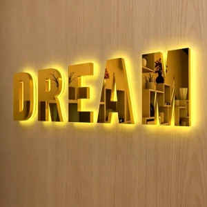 Custom 3D Backlit Logo Business Sign