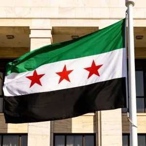Custom 3×5 ft Syria National Flag Grateful Dead 100% Polyester Double sided Digital Printing Pennant Flag Fiberglass