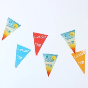 Custom Advertising Promotional Fabric Indoor Outdoor Waterproof 20*30cm Decorative Triangle Bunting Pennant Flag Plastic Custom