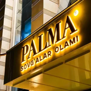 Custom Backlit Acrylic LED Channel Letter 3D Illuminated Advertising Signs LED Sign for Business