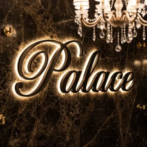 Custom Electronic Signs 3D LED Backlit Metal Logo