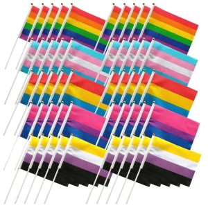 Custom Handheld Waving Flag 100% Polyester Digital Printing Bulk Plastic Pole CE Certified Parades Sports Events
