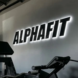 Custom LED Backlit Gym Sign Fitness Center Logo Letters 3D Acrylic Metal Wall Signage CrossFit Sports Club Reception