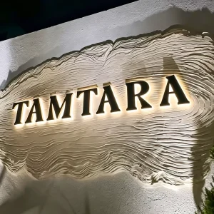 Custom LED Backlit Retail Store Sign 3D Stainless Steel Logo Letters Fashion Boutique Wall Signage OEM Manufacturer