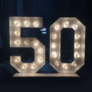 Custom LED Marquee Letter Lights 4ft 5ft Party Decoration Giant Marquee Light Box