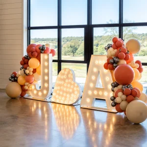 Custom Light up Letters LED Marquee Alphabet Signs for Wedding Reception Proposal Engagement Anniversary Party Event Decoration