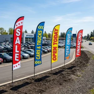 Custom Logo Advertising Flag Outdoor Auto Dealership Lot Display Portable Advertising Flag with Pole