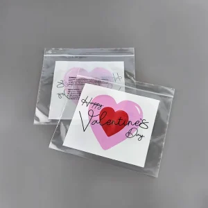 Custom Logo Self Adhesive PE Zipper Bag Heat Sealed Moisture Proof Heavy Duty Packaging for Clothing Underwear Shoes Gift