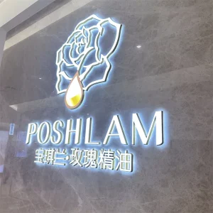 Custom Mini Character Front Lit Back Lit 3D LED Logo Letter Sign Acrylic Letters