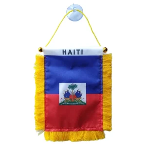 Custom Mini Pennant Flags Banners Small Window Hanging Plastic Flagpoles Quick Dry Digital Printing Sports and Games Decoration