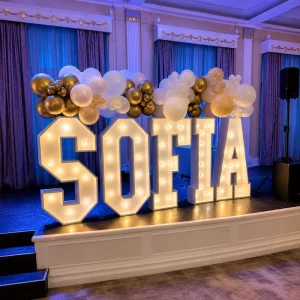 Custom Name Marquee Letters Light up LED Alphabet Sign Birthday Baby Shower Graduation Event Photo Booth Backdrop Display