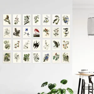 Custom Photo Size Wall Art Poster Birds of America Illustrations Print Poster for Living Rooms Home Decor No Frame
