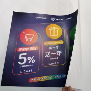 Custom Print Big Poster for Promotion 24×36 Poster