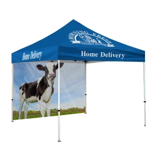 Custom Print Heavy Duty Advertising Display Tent Promotional Foldable Event Pop Canopy Marquee Gazebo for Trade Shows