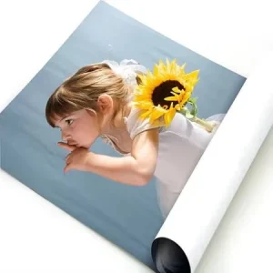 Custom Printed A1 A2 A3 A4 Digital Printing PVC PP Poster for Advertising Promotional Business