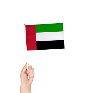 Custom Printed Handheld Waving National Flag Mini Flag on Plastic Stick for Events Parades Celebrations Promotion