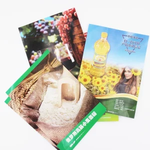 Custom Printing A4 A6 A5 Coated Paper Poster Advertising Promotional Flyer Business Leaflets Single Side Printing Posters
