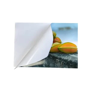 Custom Self Adhesive Satin Finish Inkjet Photo Paper Bead Surface A4 Size Glossy Logo Sticker 50 Pages for Photography