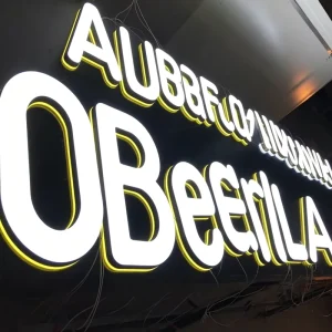 Custom Sign Business Reception LED Illuminated Signs 3D Signage Front Lit Backlit Customizable Metal Logo Channel Letter