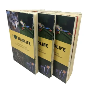 Custom Softcover Paperback Perfect Bound Thread Sewing A5 Magazine Book Film Lamination Offset Printing Embossing